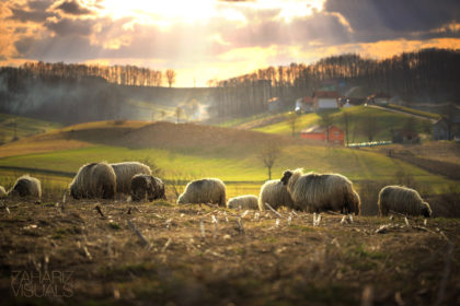 bosniancountryside
