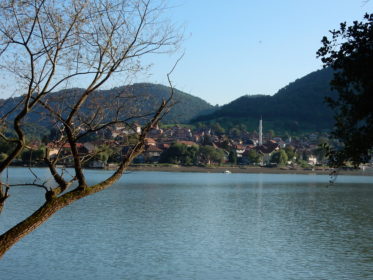 divic_zvornik
